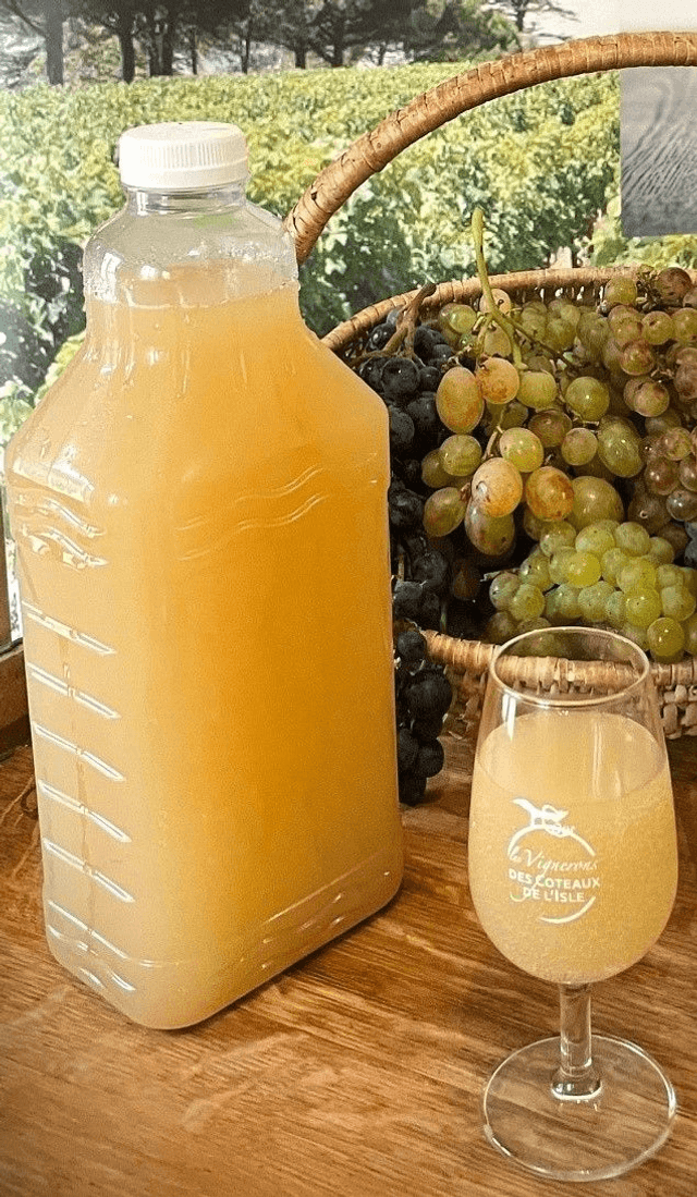 Bourru Blanc (retrait boutique uniquement)