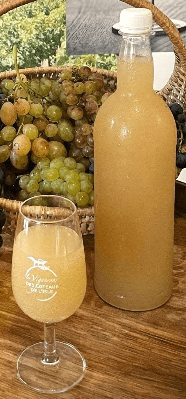 Bourru Blanc (retrait boutique uniquement)