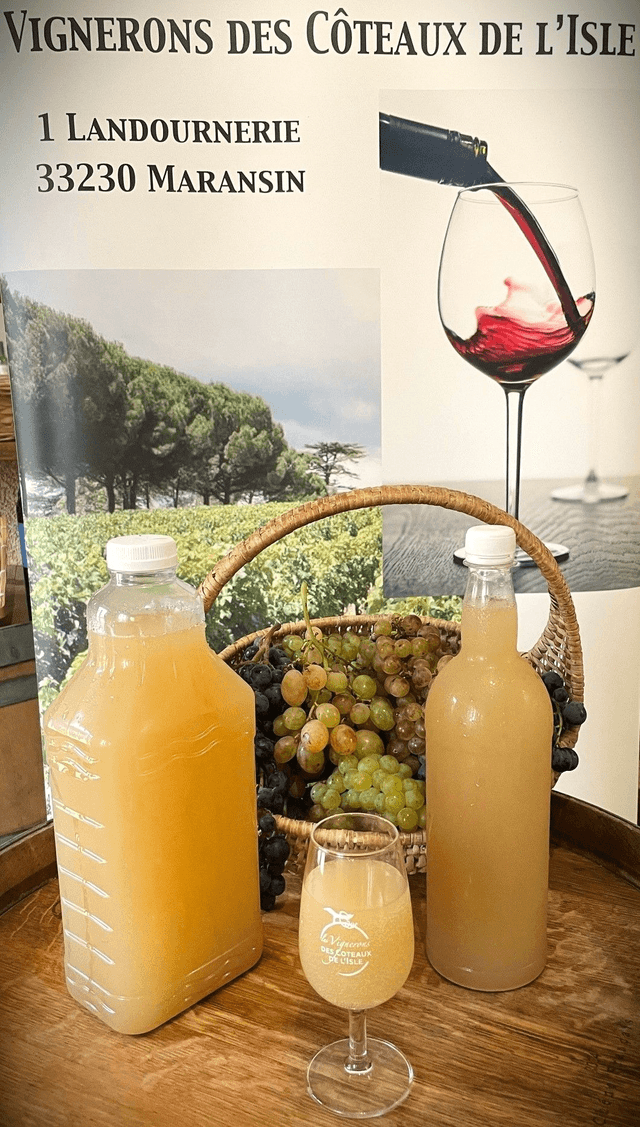 Bourru Blanc (retrait boutique uniquement)